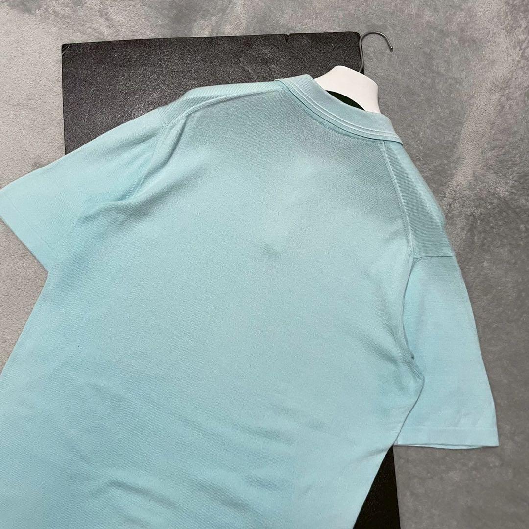 Lolo Piana ロロピアーナ コットン ポロシャツ サイズ52 水色