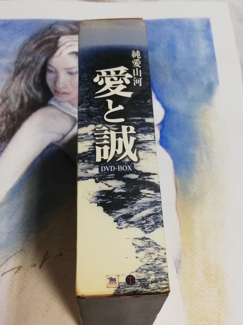 純愛山河　愛と誠　池上季実子　夏夕介　DVD Box