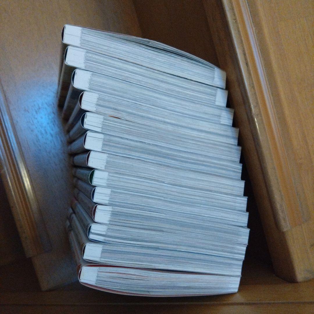 ある日、お姫様になってしまった件について 1-13巻セット【完結】