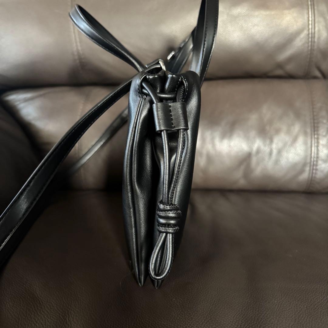 ANNA SUI アナスイ　ソフティ 2way巾着バッグ　ショルダーバッグ