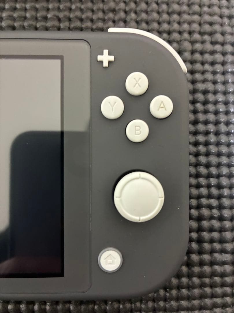 Nintendo Switch Lite グレー 本体　箱・純正ケース付き