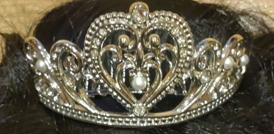 ビビディバビディブティック　美女と野獣　ベルドレスセット　130