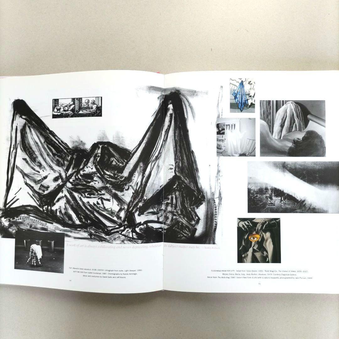 David Salle:davids alle/デヴィッド・サーレ 作品集