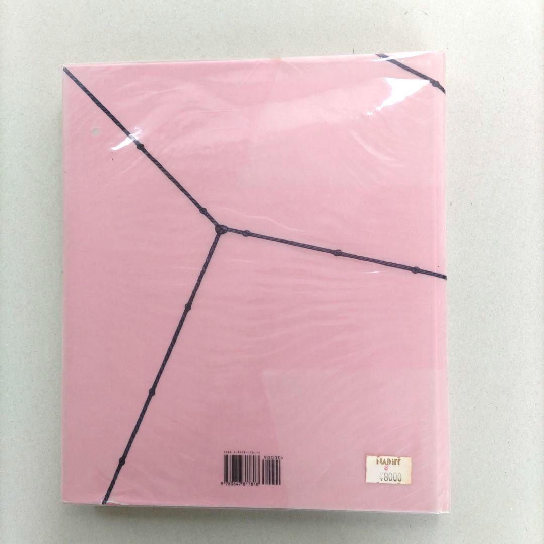 David Salle:davids alle/デヴィッド・サーレ 作品集