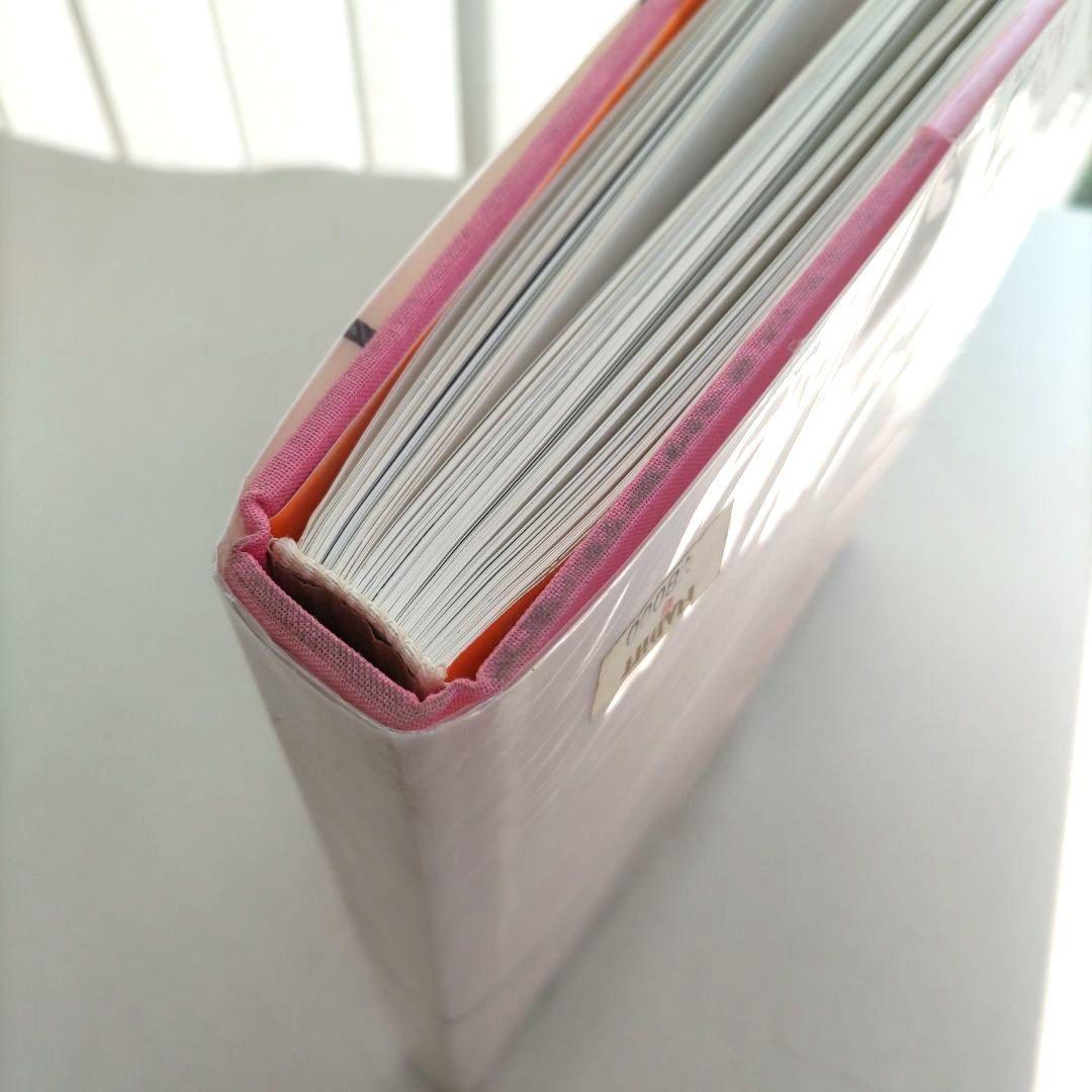 David Salle:davids alle/デヴィッド・サーレ 作品集