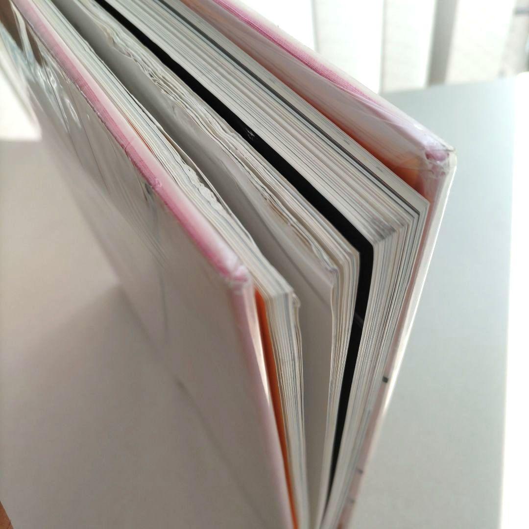 David Salle:davids alle/デヴィッド・サーレ 作品集