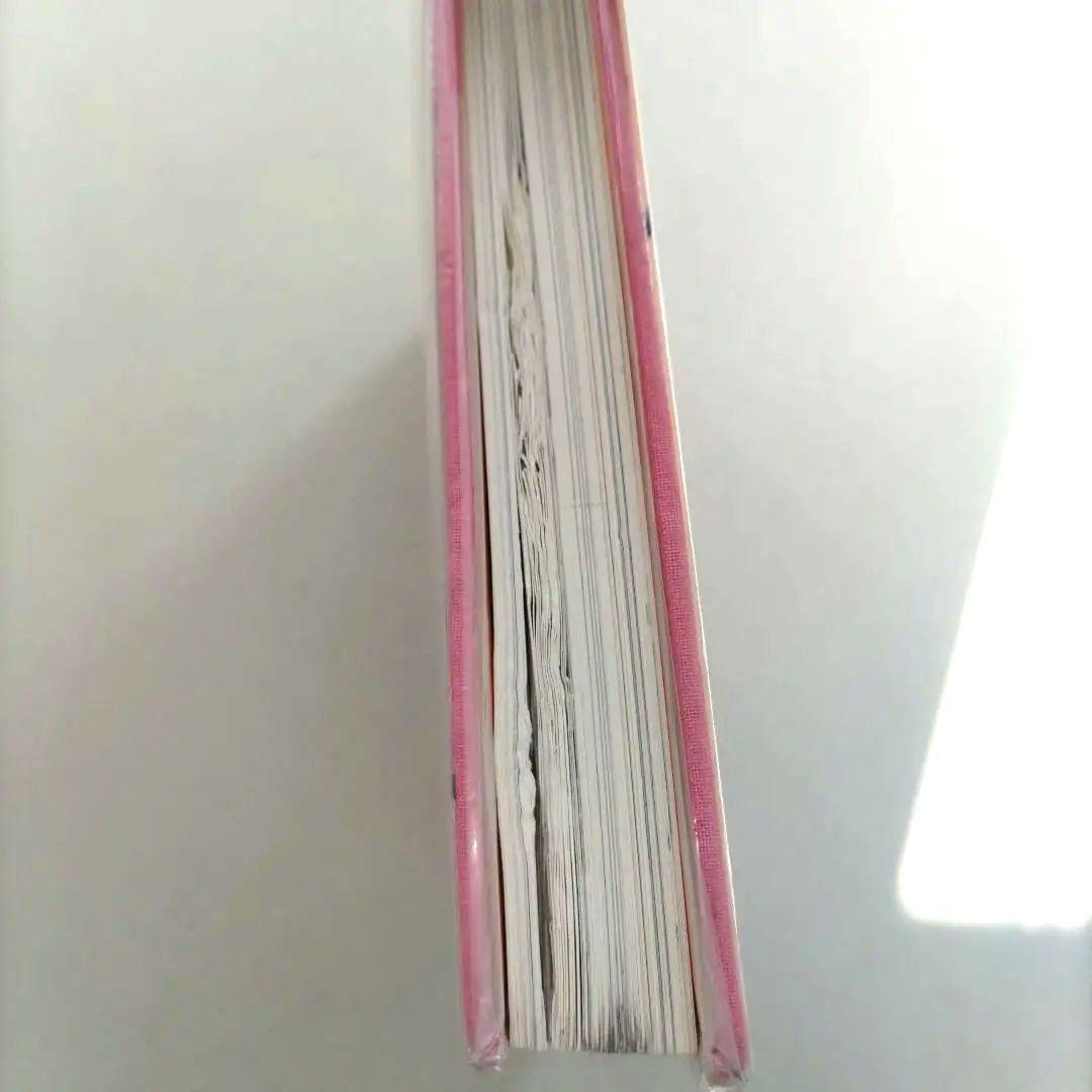 David Salle:davids alle/デヴィッド・サーレ 作品集