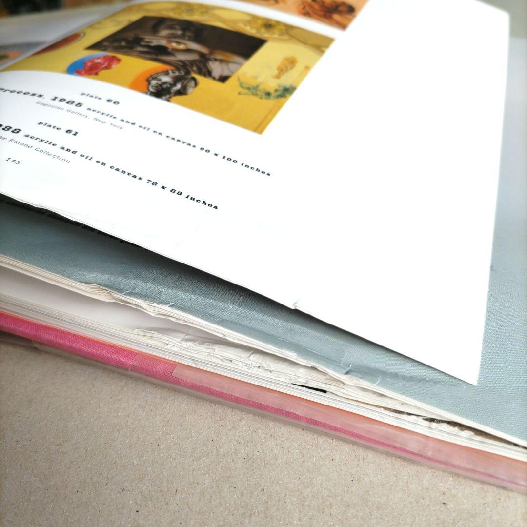 David Salle:davids alle/デヴィッド・サーレ 作品集