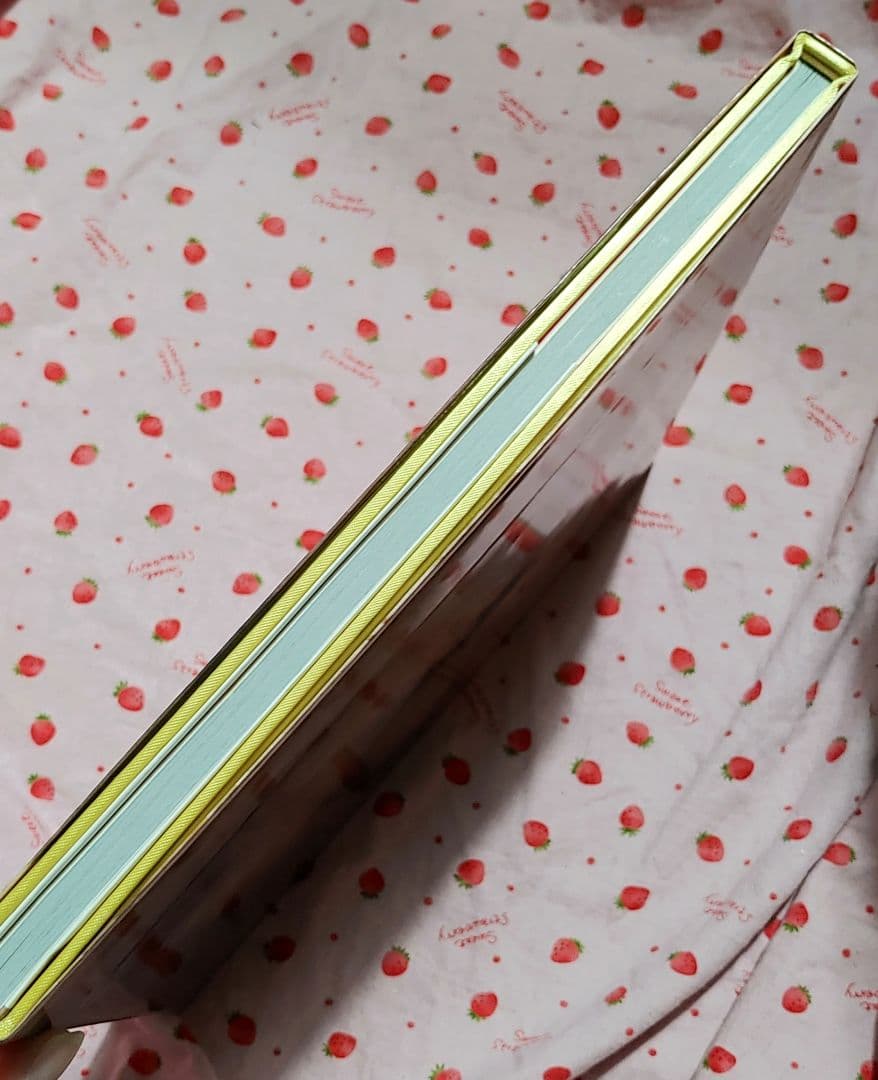 スヌーピーインファッション 写真集 SNOOPY IN FASHION レア