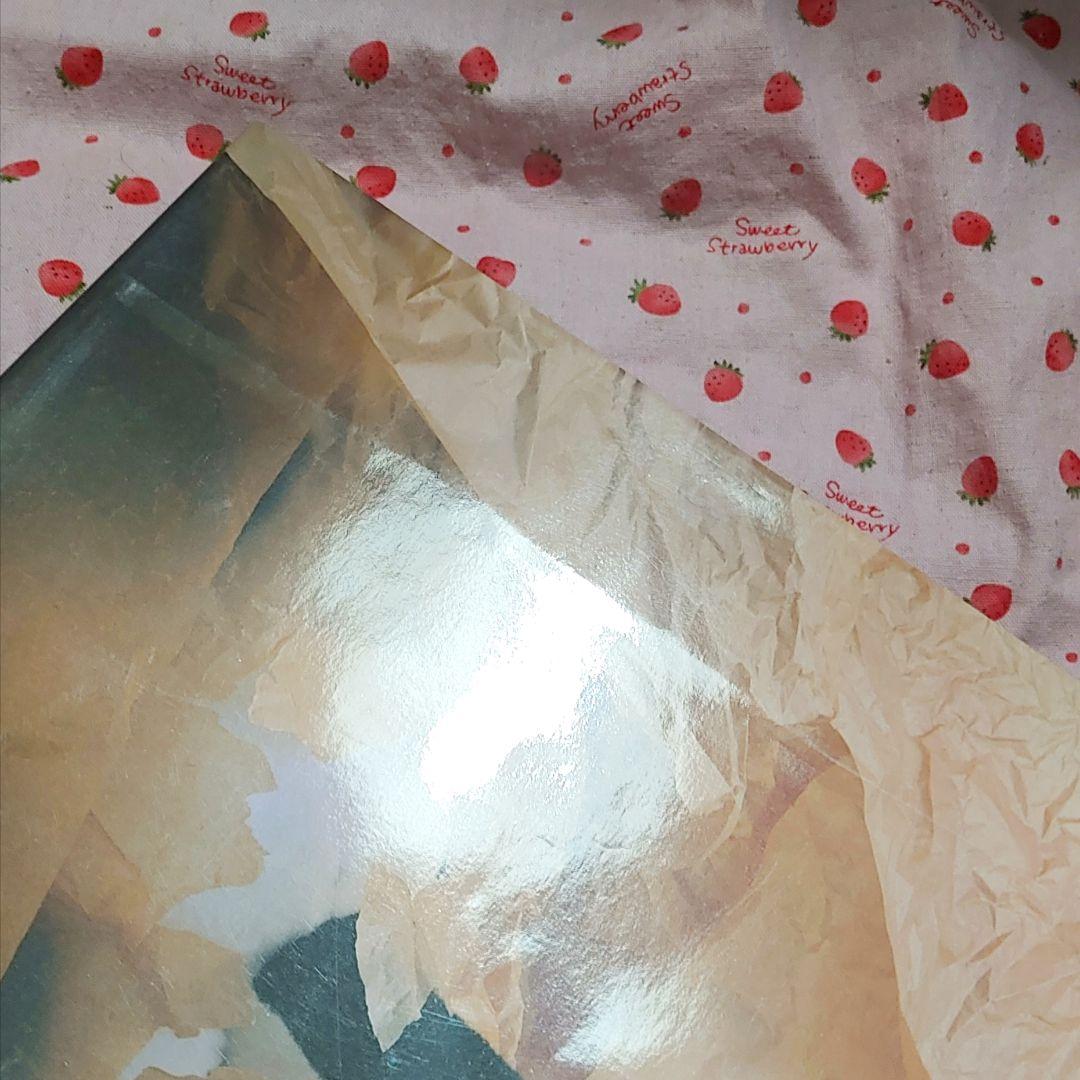 スヌーピーインファッション 写真集 SNOOPY IN FASHION レア