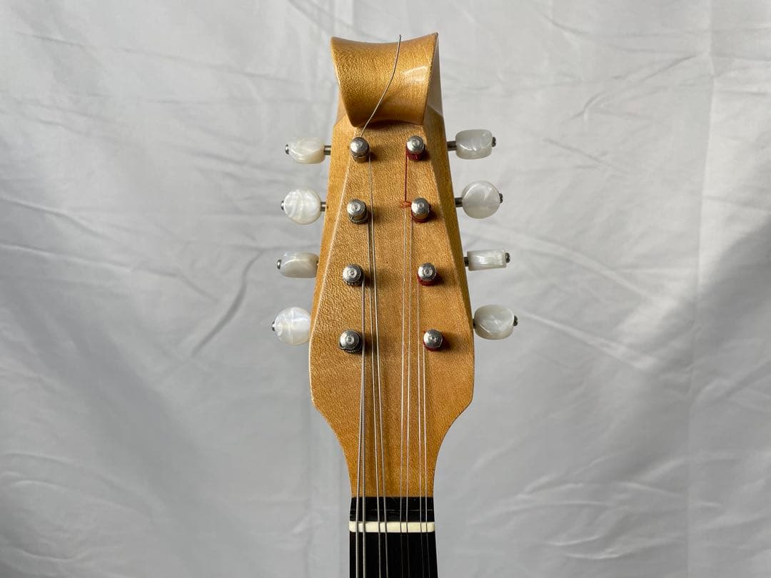 SUZUKI/スズキ クラシックマンドリン M-100