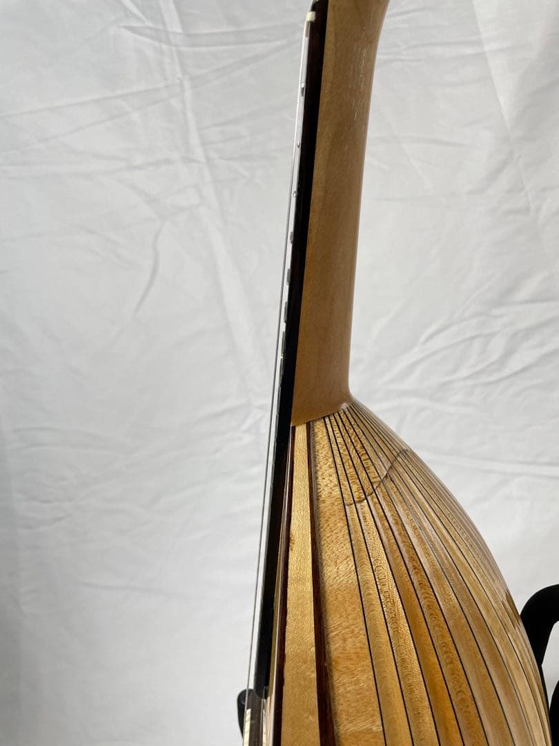 SUZUKI/スズキ クラシックマンドリン M-100