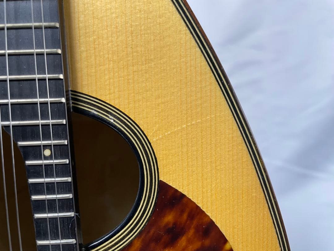 SUZUKI/スズキ クラシックマンドリン M-100