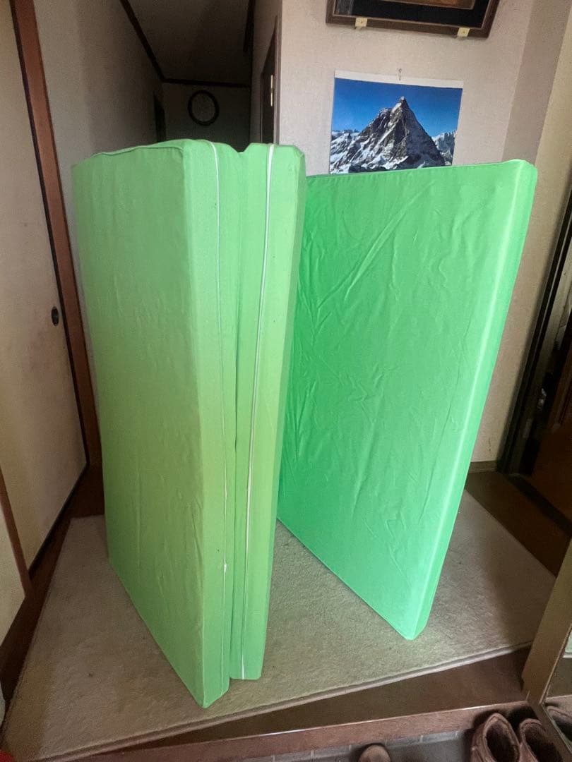 ヘルスウェーブ ゴールド D.C.Ver セミダブル　DXSD