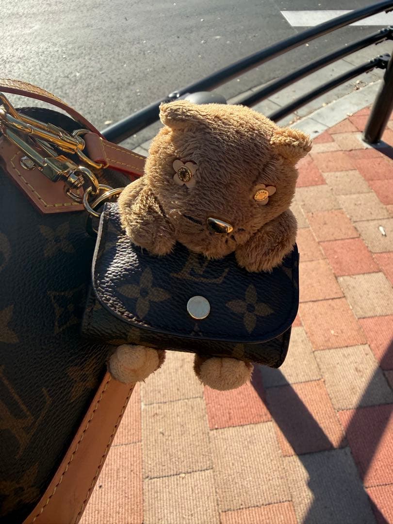 Louis Vuitton AirPodsケース