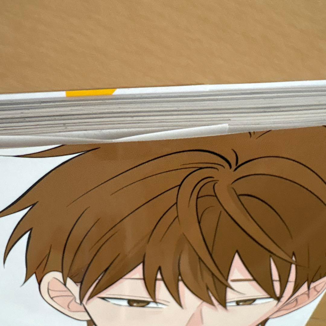 氷の城壁 1-11巻セット / あと3冊で完結！