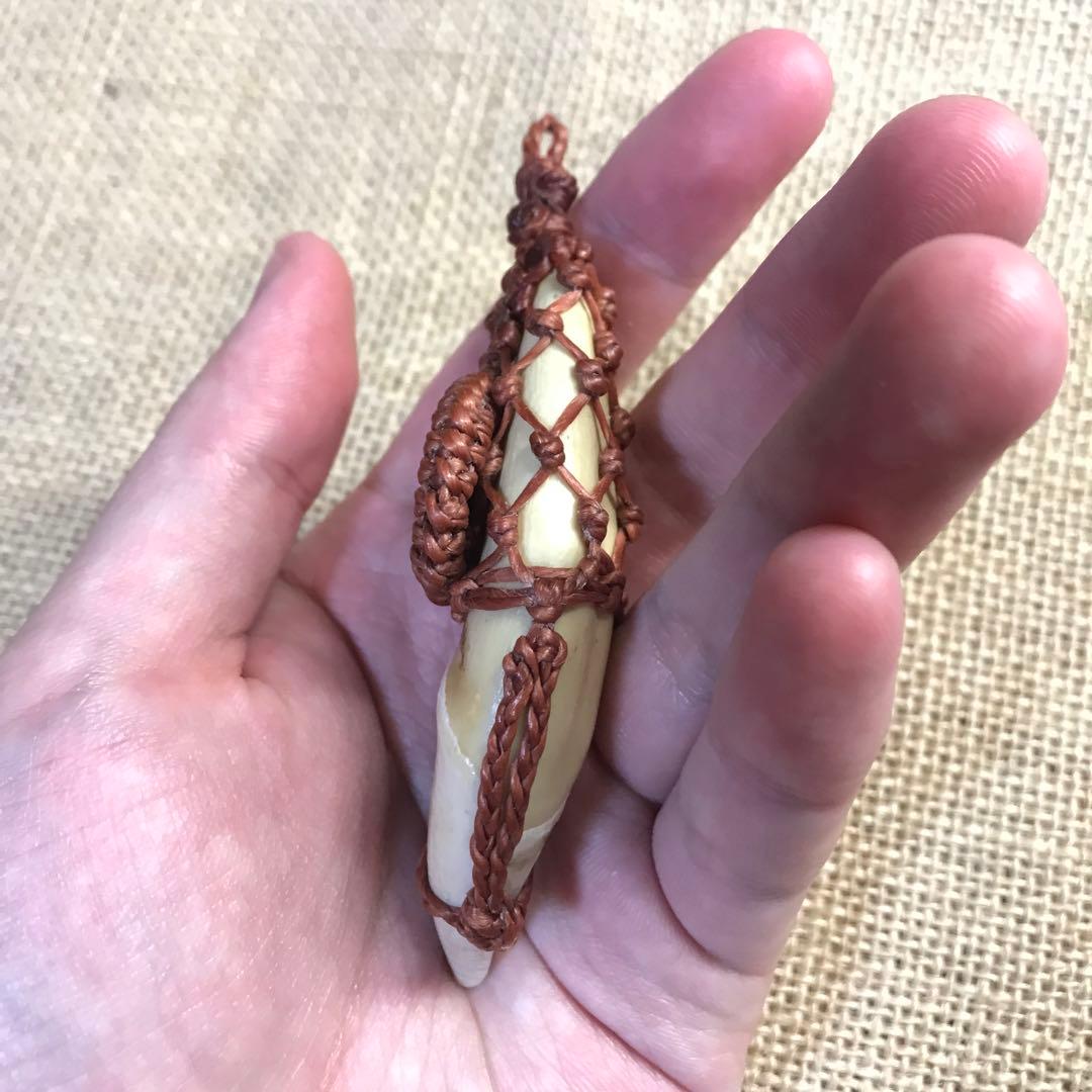 熊の牙　マクラメ　ペンダントトップ　インディアンジュエリー