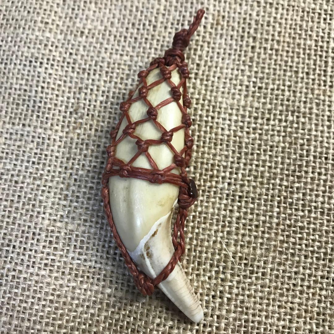 熊の牙　マクラメ　ペンダントトップ　インディアンジュエリー