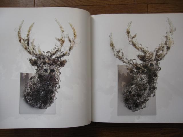 SYNTHESIS　シンセシス　名和晃平　Kohei Nawa