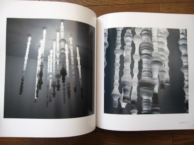 SYNTHESIS　シンセシス　名和晃平　Kohei Nawa