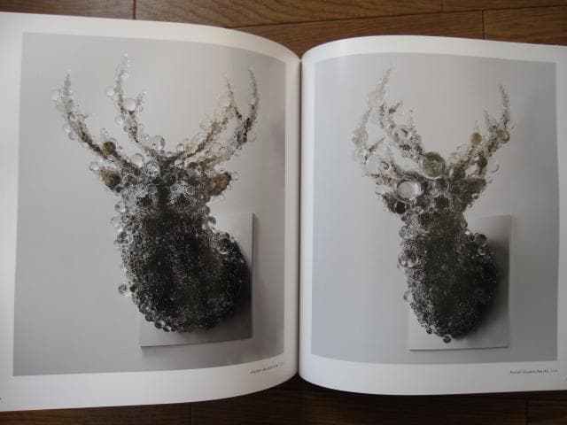 SYNTHESIS　シンセシス　名和晃平　Kohei Nawa