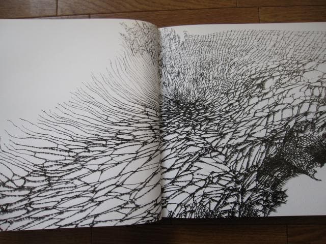 SYNTHESIS　シンセシス　名和晃平　Kohei Nawa