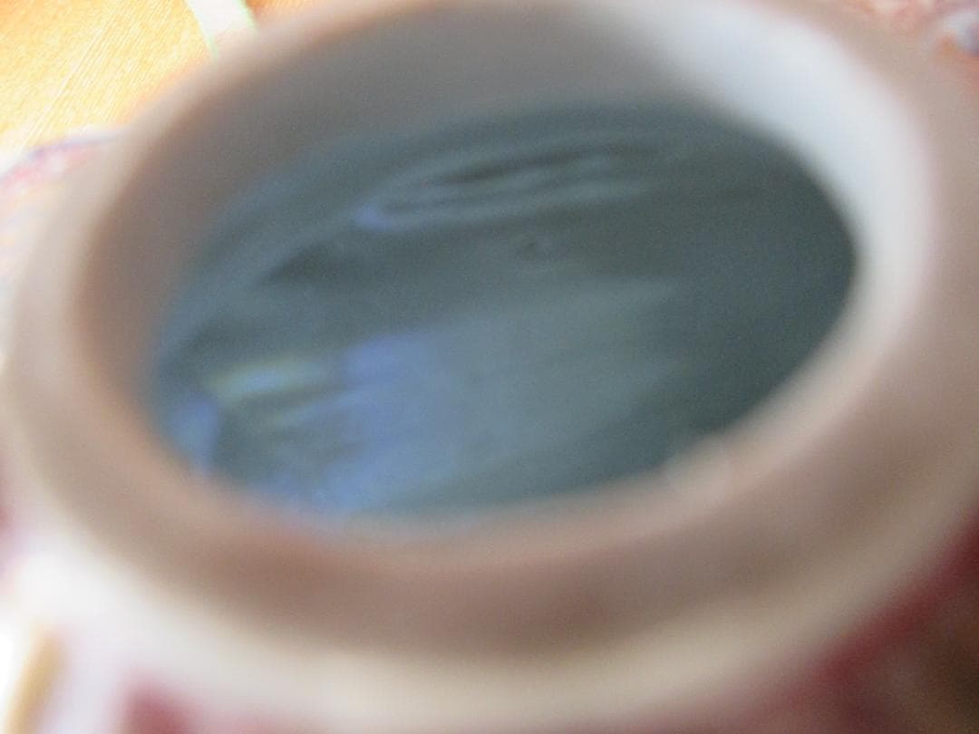 銚子　酒注ぎ　酒器　九谷赤絵　212