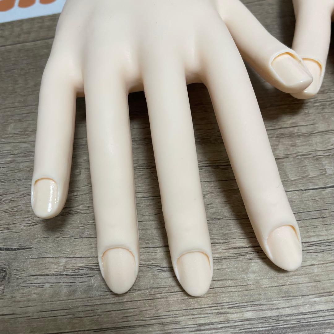 【本番用美品✨】JNECネイリスト技能検定試験認定モデルハンド 骨折なしチップ有