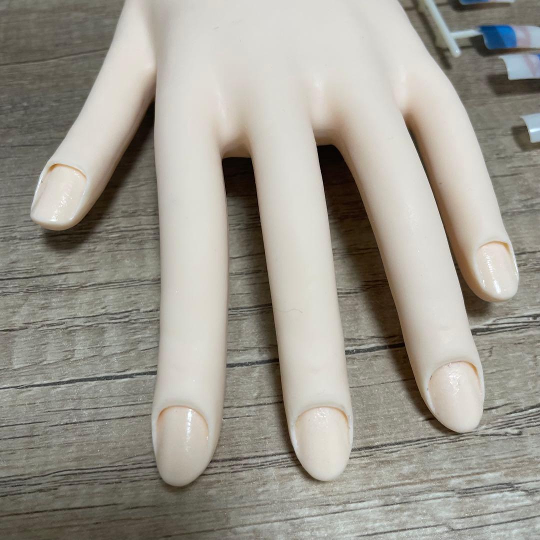 【本番用美品✨】JNECネイリスト技能検定試験認定モデルハンド 骨折なしチップ有