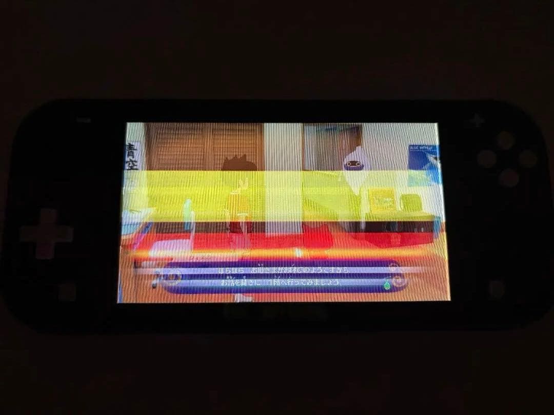 任天堂 Switch Lite スイッチライト 本体 グレー HDH-001