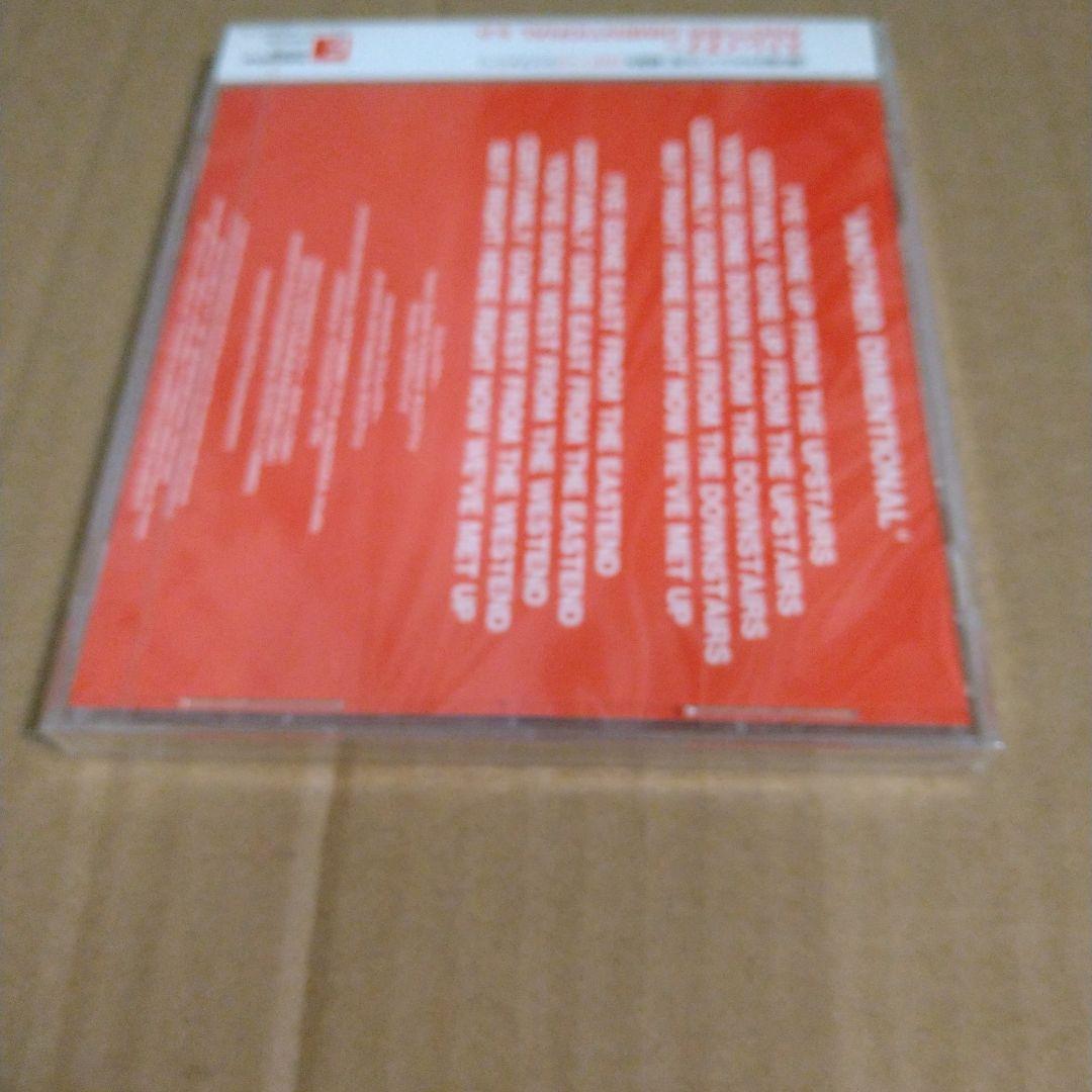 ストレイナー ANOTHER DIMENSIONAL e.p.新品・未開封