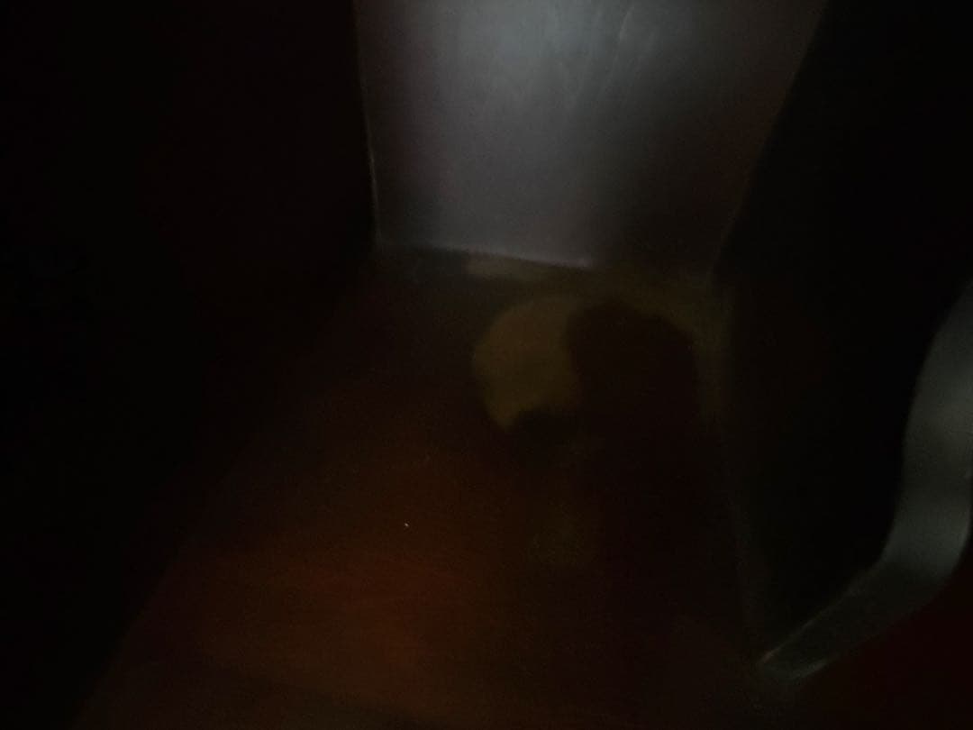 【ノンホルマリン】アンティーク ライティングビューロー デスク(北海道民芸家具)