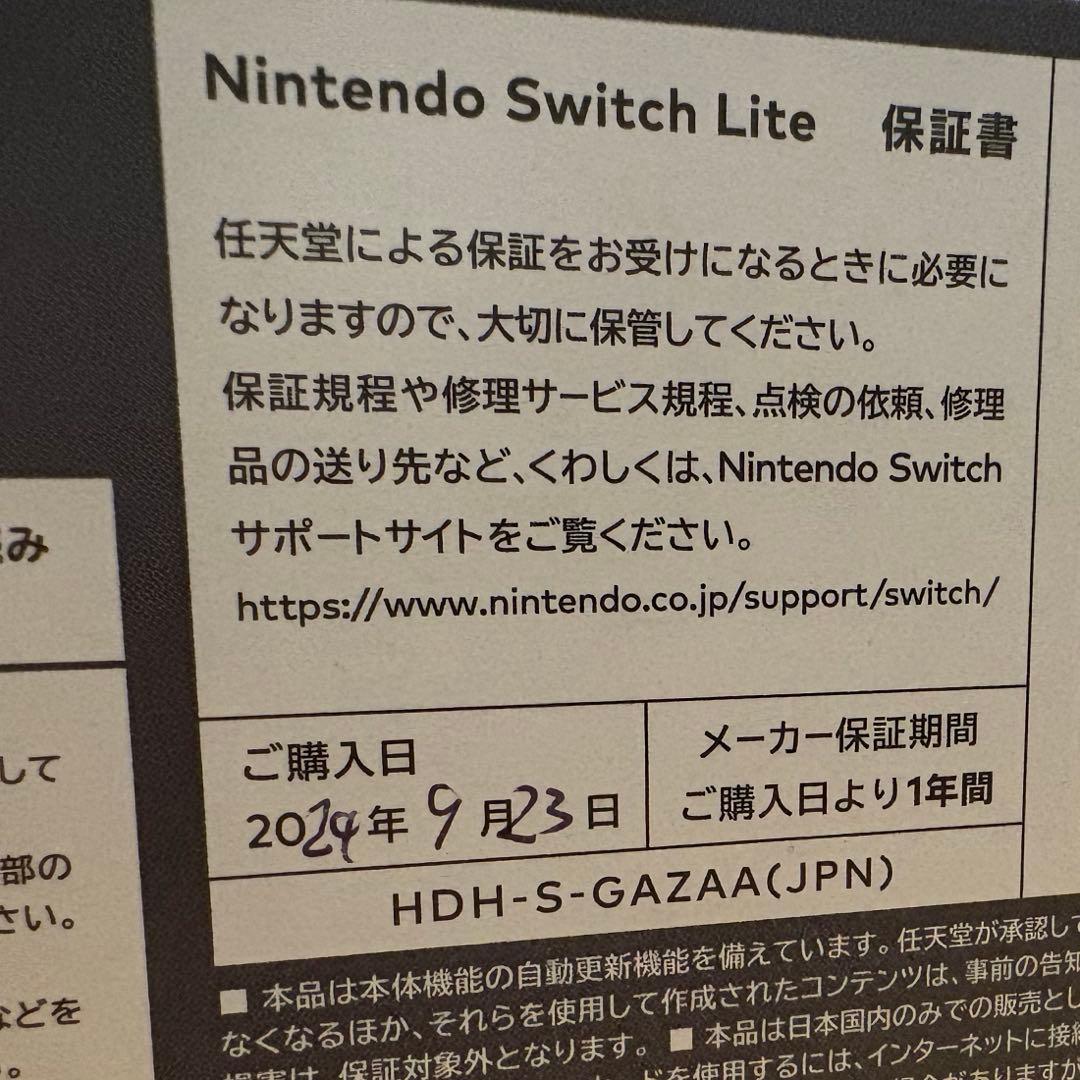 Switch Liteグレー アダプター ケース付き