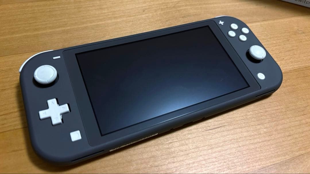Switch Liteグレー アダプター ケース付き