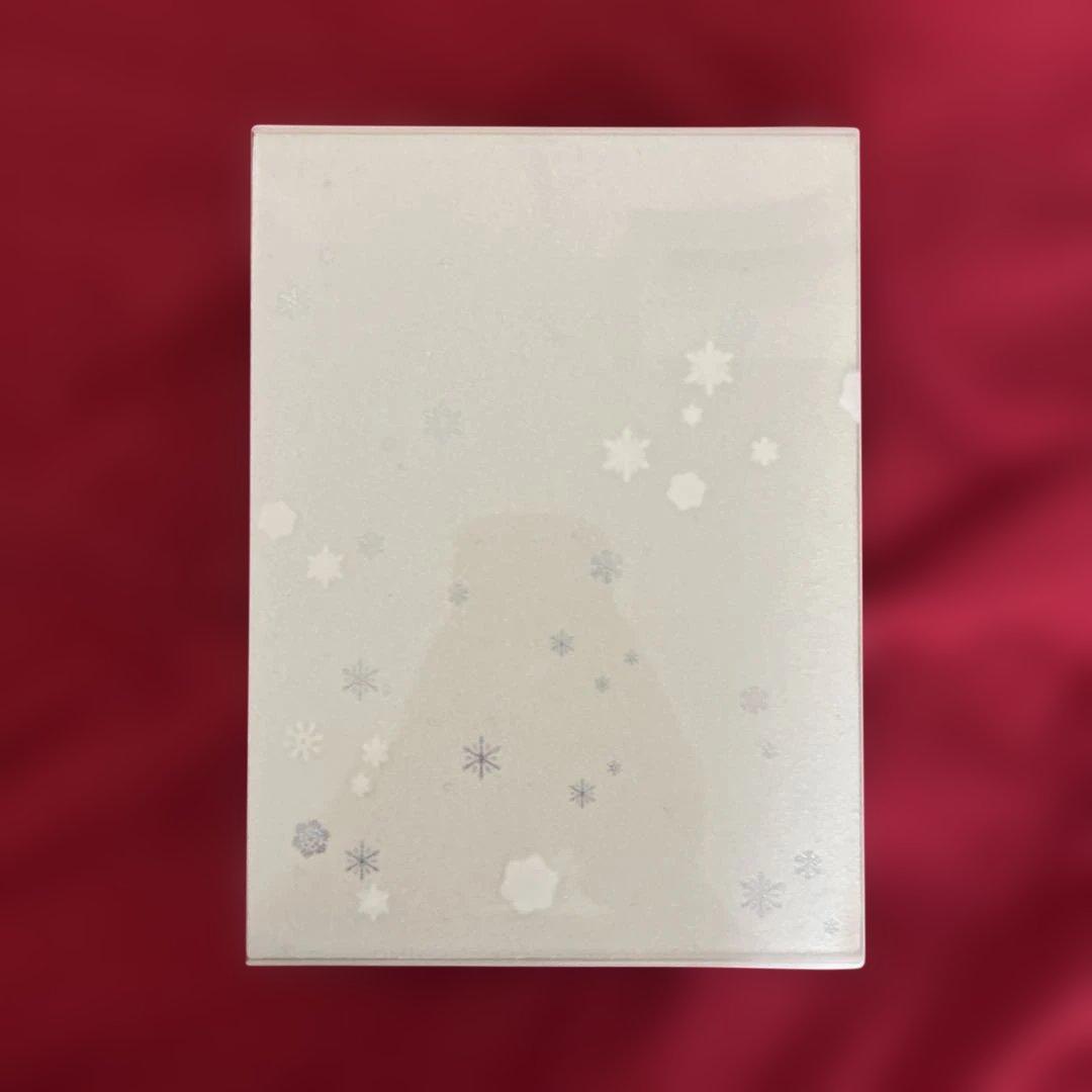 全14枚　KBSノーカット完全版 冬のソナタ　DVD-BOX 初回特典ディスク付