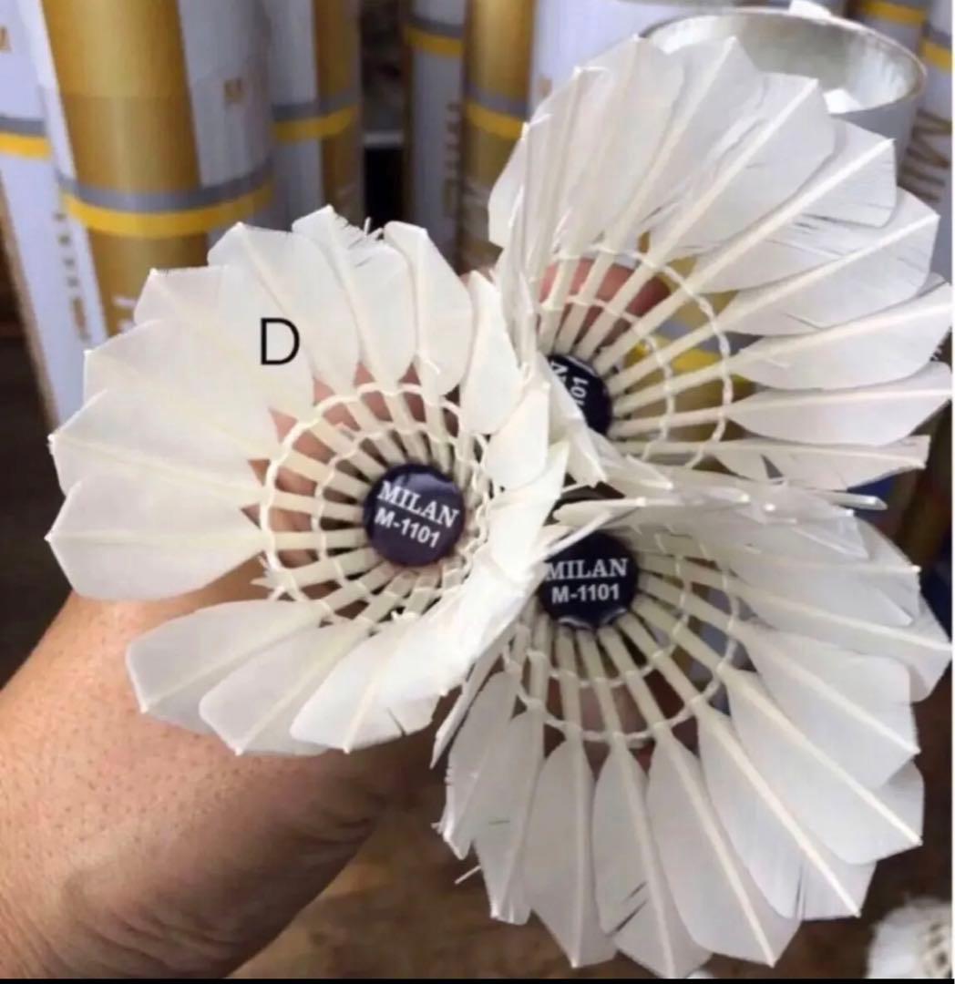 中古シャトル　ミラン　4番　約500個　大会使用球　バドミントン