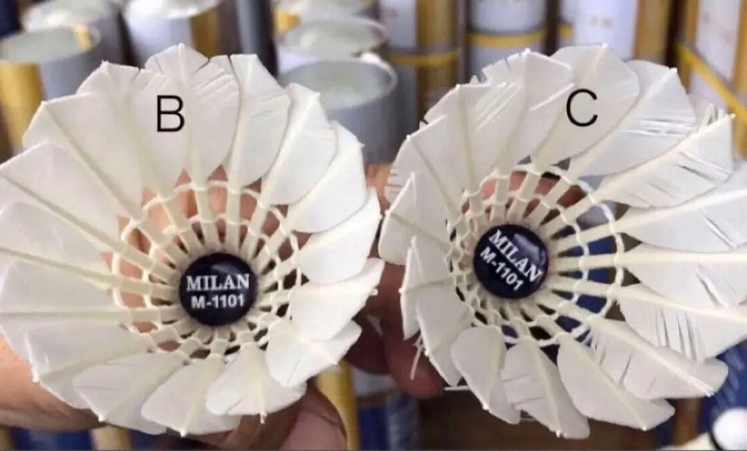 中古シャトル　ミラン　4番　約500個　大会使用球　バドミントン