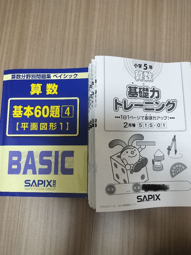 2024年度　サピックス5年生（一年分）　国算理社全科目テキストセット