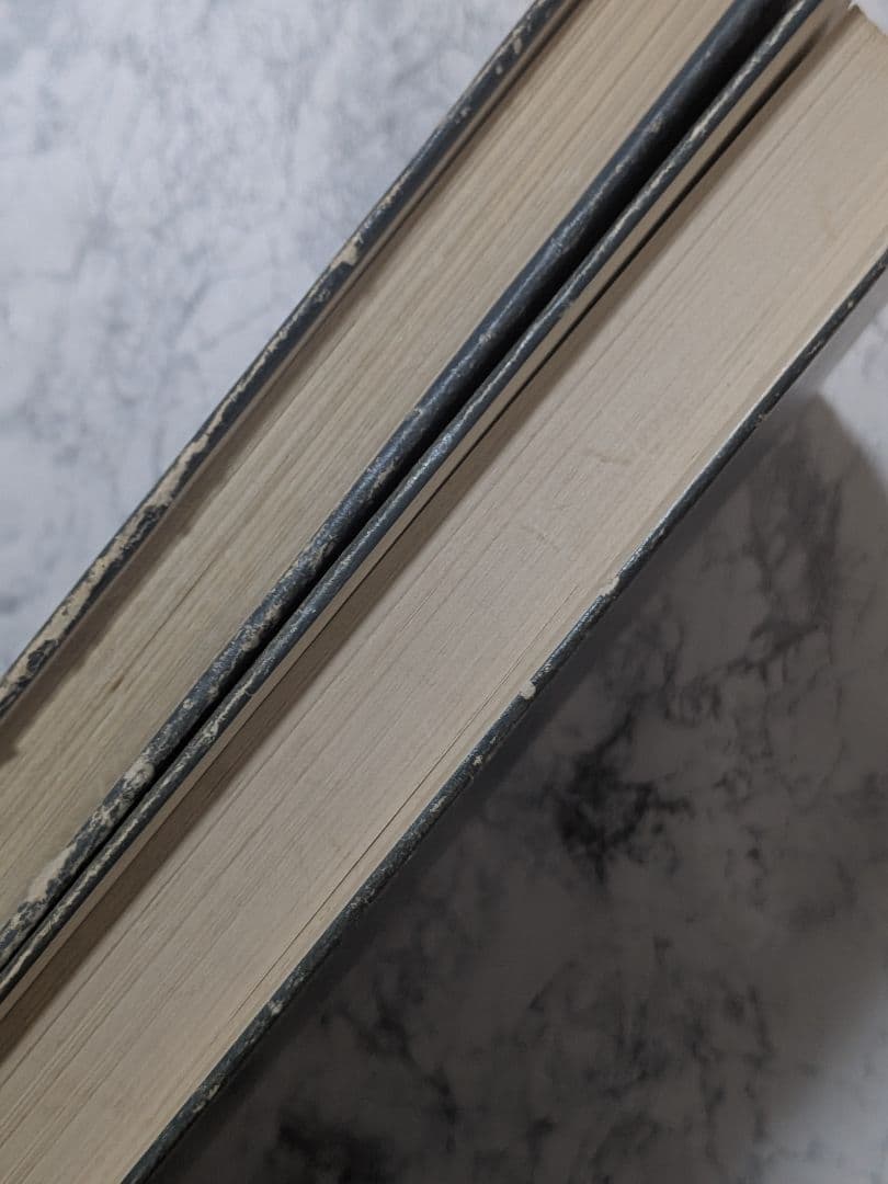 【洋書】分析心理学 2冊セット