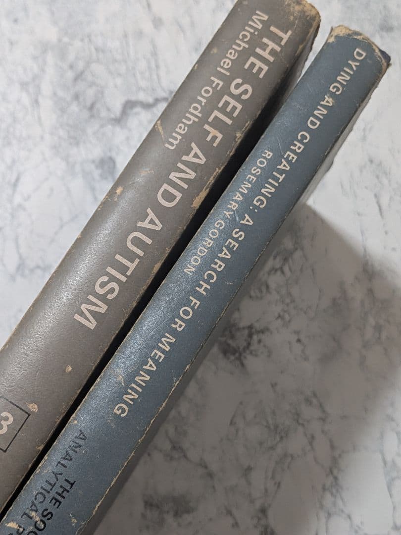 【洋書】分析心理学 2冊セット