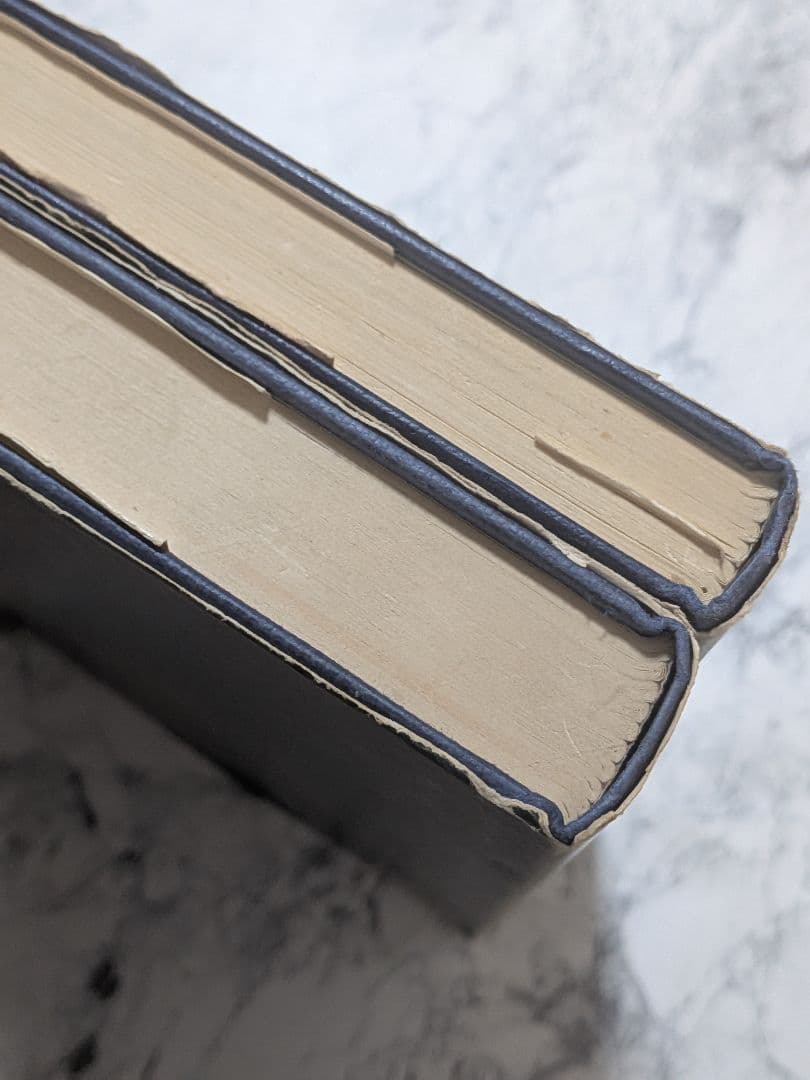 【洋書】分析心理学 2冊セット