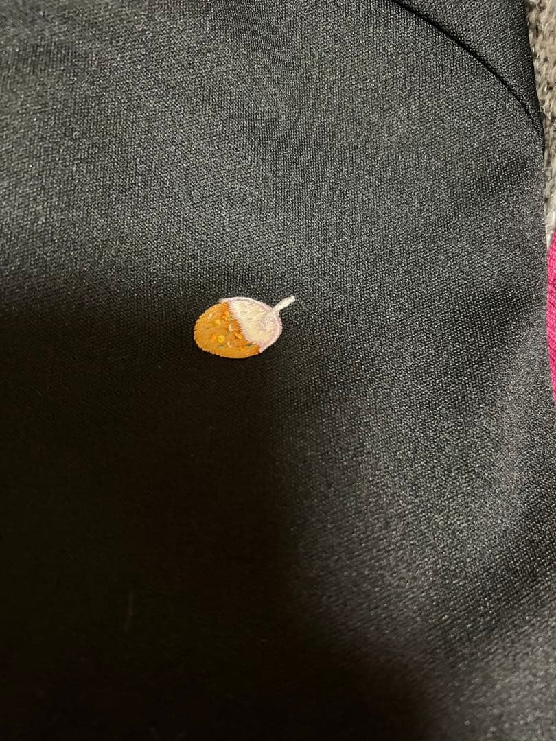 【新品未使用】RAY BEAMS 清野菜々 コラボジャージ　かれーらいすMサイズ