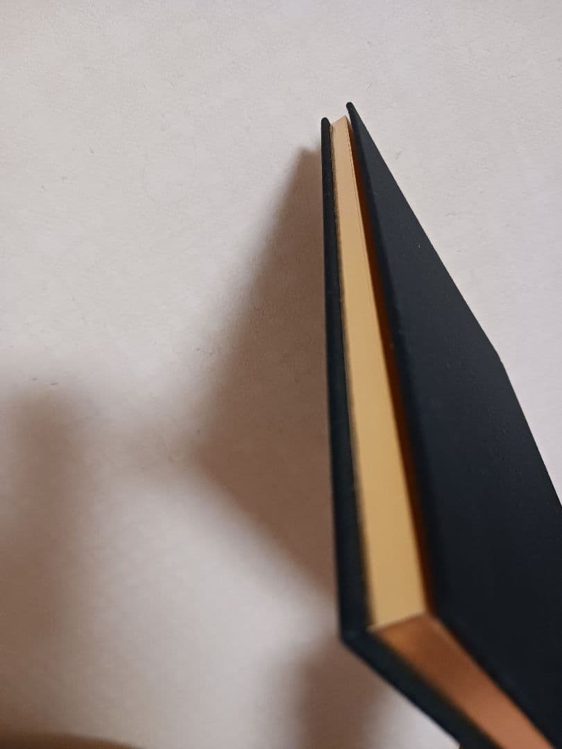 junaida UNDARKNESS　画集