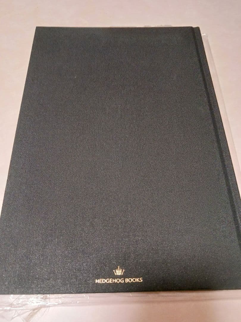 junaida UNDARKNESS　画集