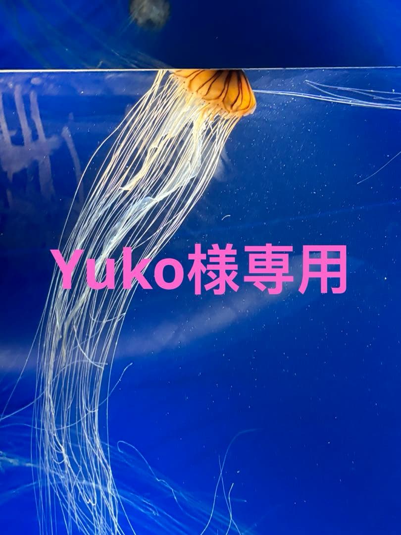 トライアルセット・サンプル Yuko