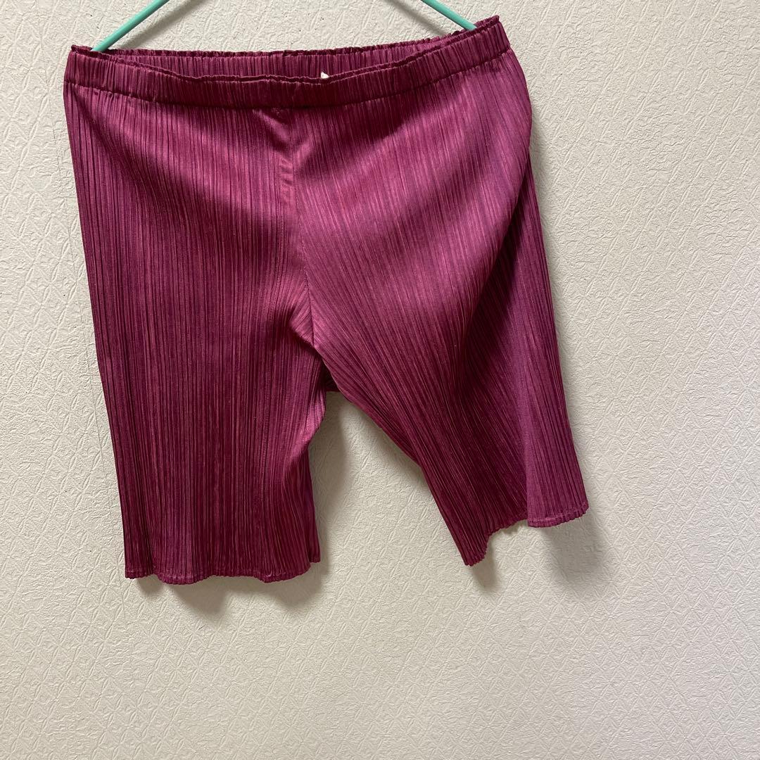 プリーツプリーズ　ショートパンツ F サイズ