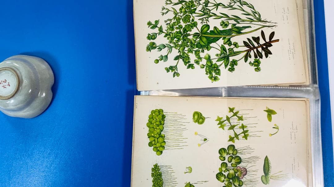 2000年◆収集された多様なアートカード・宗教的ヴィンテージカードセット