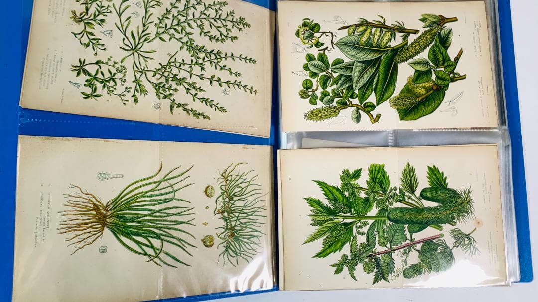 2000年◆収集された多様なアートカード・宗教的ヴィンテージカードセット