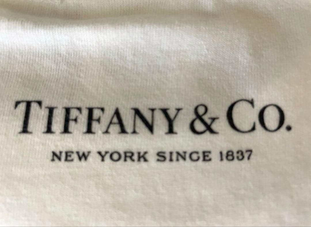 supremeｘTiffany & Co.ティファニー21FW Box Logo