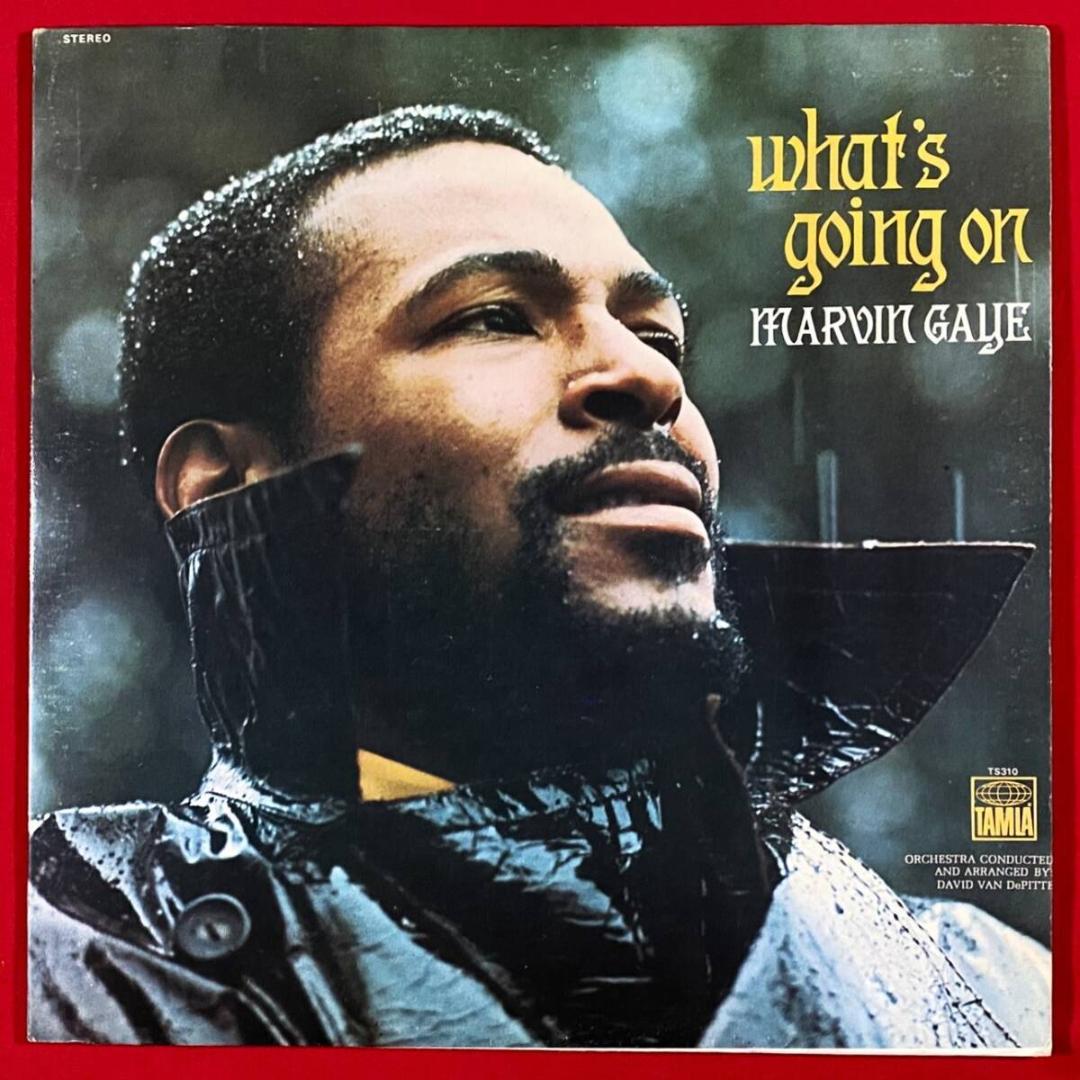 ★至高の逸品【USオリジ／極上美品／マト2D:2D／T310】マーヴィン・ゲイ